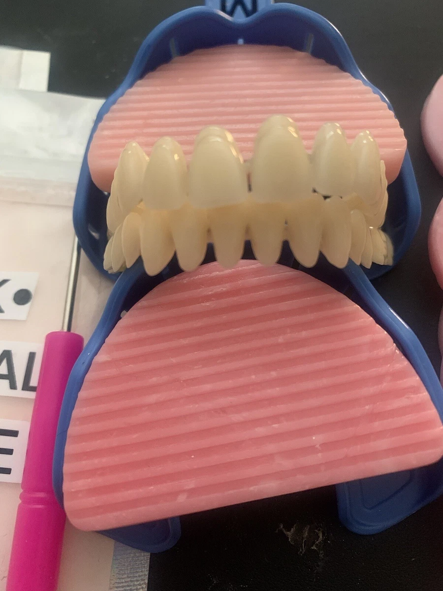 Make Your Own False Teeth Kit