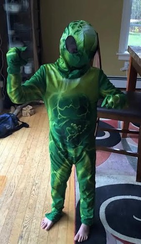 Land of The Lost SLEESTAK Halloween Costume Childs Size Med 8-10 Mask & Glove