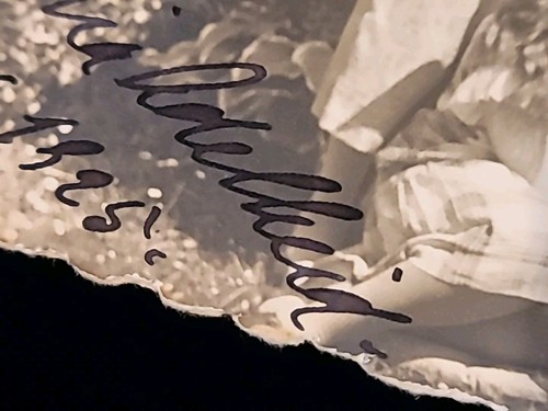 Foto postal autografiada de la realeza de la princesa Adelaida firmada por el duque Carlos Eduardo - Imagen 8 de 24
