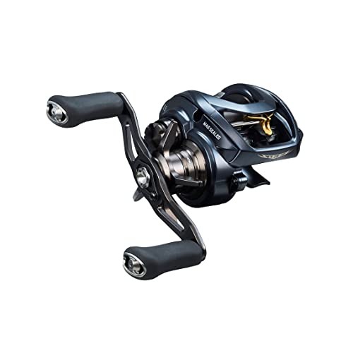 Daiwa Baitcast Reel STEEZ TW 1000XH Right 8.5:1 Fishing Reel IN