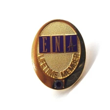 ENA Lifetime Member Pin Emergency Nurses Association Gold Purple Stone Vintage