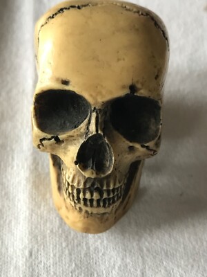 Antique Victorian Memento Mori Skull, hand carved-Super rare | eBay