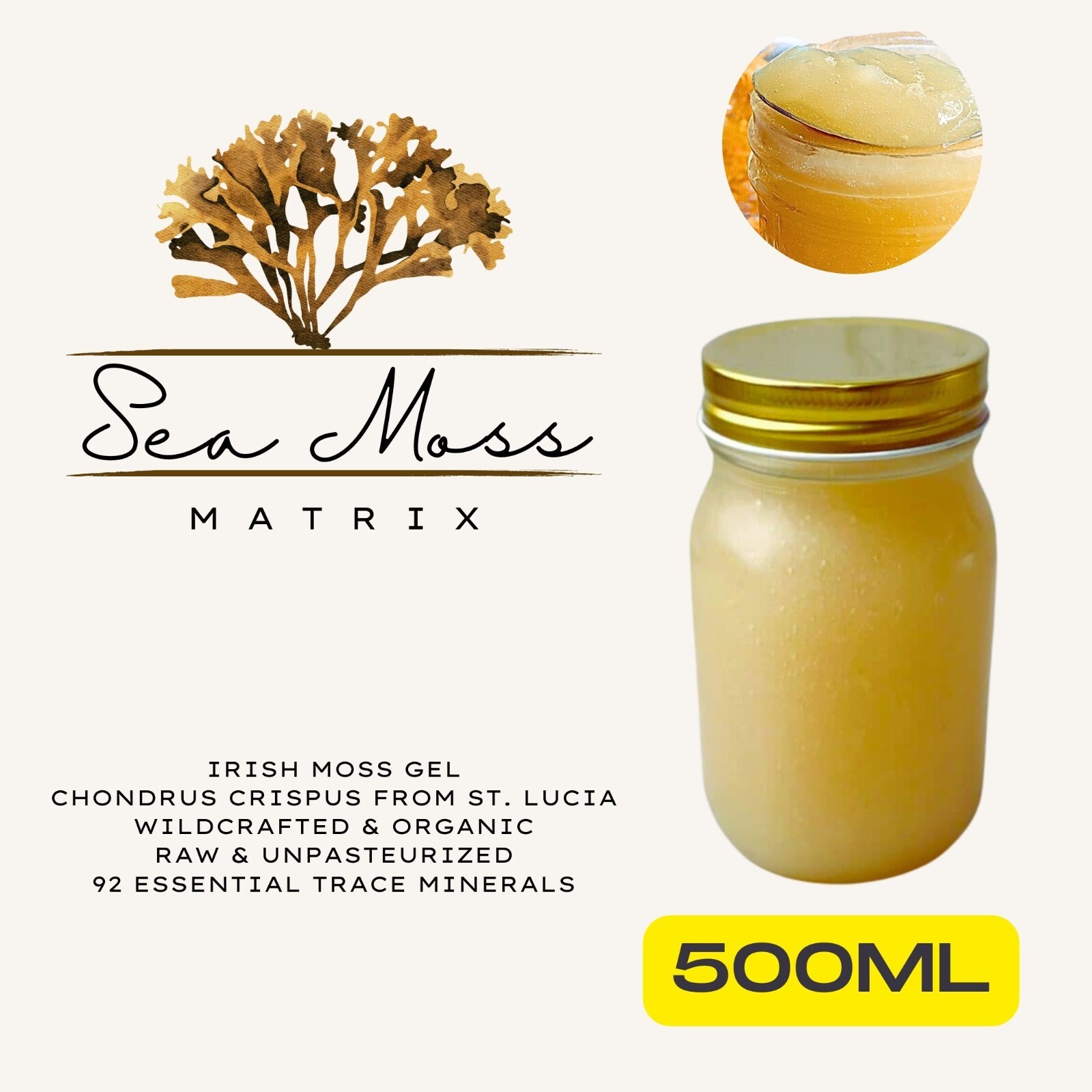 SEA MOSS Irish Sea Moss Gel 500ML Raw Wildcrafted & Organic "Moss