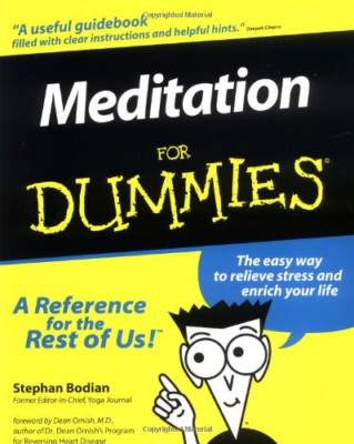 Meditation für Dummies?