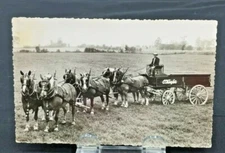 RPPC - O'Keefe's Wagon Pulled by Six Horses in Field