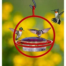 COURONNE HANGING SPHERE GLASS NECTAR HUMMINGBIRD FEEDER WITH PERCH M047-301-R