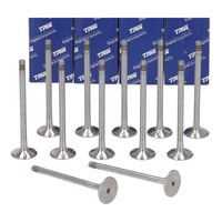12X Trw Auslassventil FüR Bmw E46 E90-93 E39 E60/61 E63 X3-6 M57 N57 11342247077