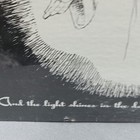 Picture 3 of 13