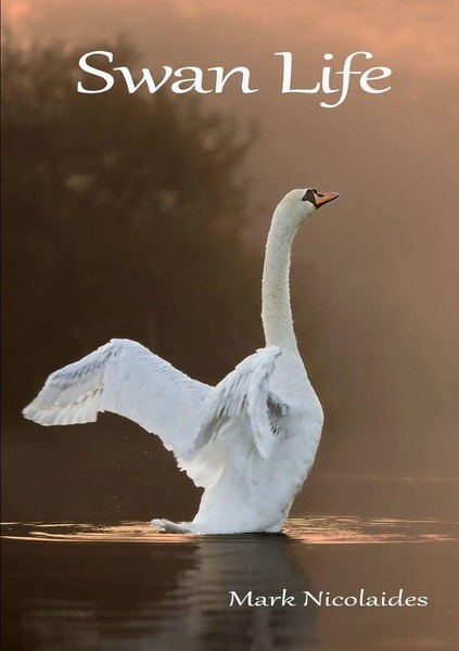 Swan Life Mark Nicolaides Taschenbuch Kartoniert / Broschiert Englisch 2015-image