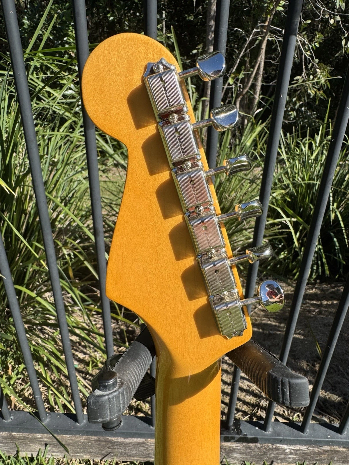 Picture 6 of 11