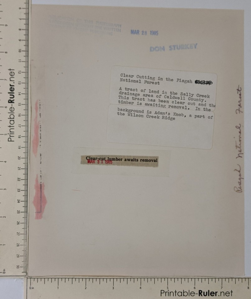 1985 Pisgah Nat'l Forest NC Clear Cut Timber Adam's Knob Sally Creek