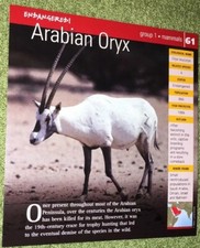 Endangered Animals Card - Mammal - Arabian Oryx #61