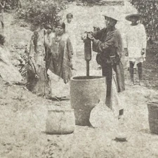 Antique 1890 Coffee Plantation Cordoba Mexico Stereoview Photo Card P1770