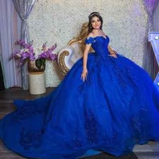 Royal Blue Quinceanera Dresses Ball Gown Floral Lace Appliques Beading Sweet 16
