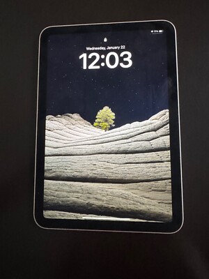 iPhone IPad mini 6th gen with TikTok and CapCut installed in perfect condition 