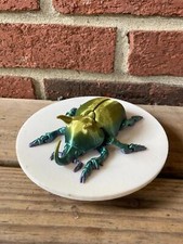 Articulated Unicorn Beetle