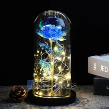Christmas LED Eternal Rose Gift for Women Mom Girlfriend Wife Valentine Birthday