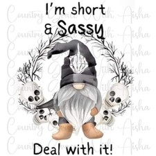 Sublimation Transfer Short and Sassy Gnome Ready To Press Heat Transfer