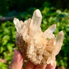 184G A+++Natural white Crystal Himalayan quartz cluster /mineralsls