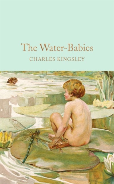 The Water-Babies : A Fairy Tale For A Land-Baby Charles Kingsley - Image 5