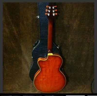Electronic Acoustic Guitar Aria FET-600 Elecord with Hard Case | eBay