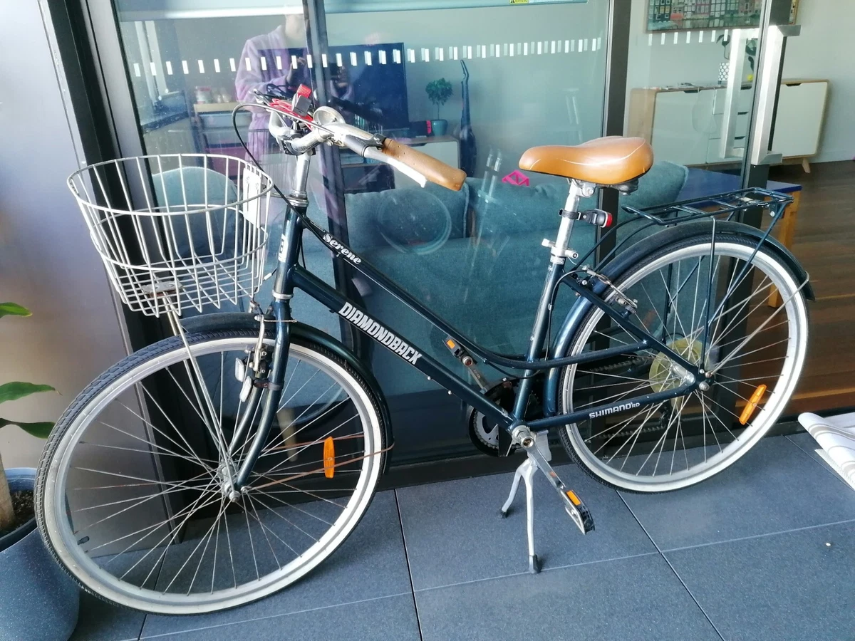 Ebay sales dutch bike