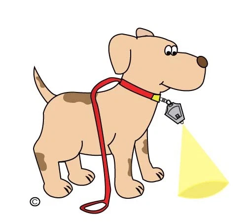 MICRO LIGHT GUY-5 Pack-MINI LED KEYCHAIN FLASHLIGHT SUPER BRIGHT PHOTON BEAM - Image 2 of 4