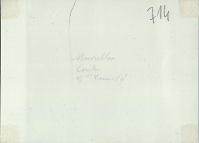 Photo Ancienne Toulon Place De La Liberté – Tirage Citrate 1902-05