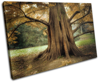 Ancient Old Tree Landscapes SINGLE Leinwand Wand Kunst Bild drucken