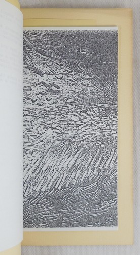 VAN GOGH'S CROWS, by Al Masarik - 1989 Illustrated Poetry chap book mimeograph - Picture 3 of 10