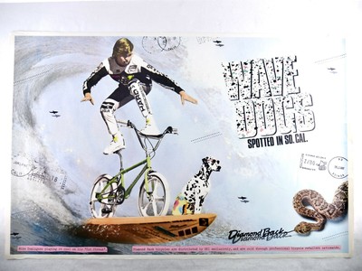 Mike Dominguez - Nelo's Cycles
