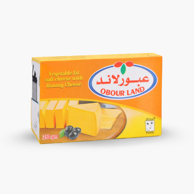 Obour Land Vegetable Fat Soft Cheese with Roumy Cheese Flavor, 250g (8.8oz)