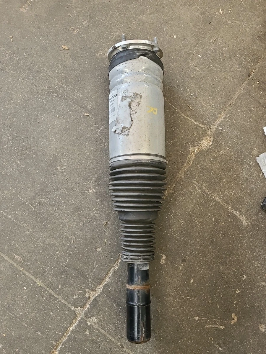 USED OEM FRONT RIGHT PASSENGER SHOCK ABSORBER / 22311354 / 1087939  