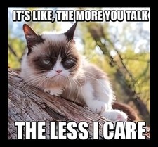It's Like The More You Talk The Less I Care Grumpy Cat Sarcastic Pet MAGNET