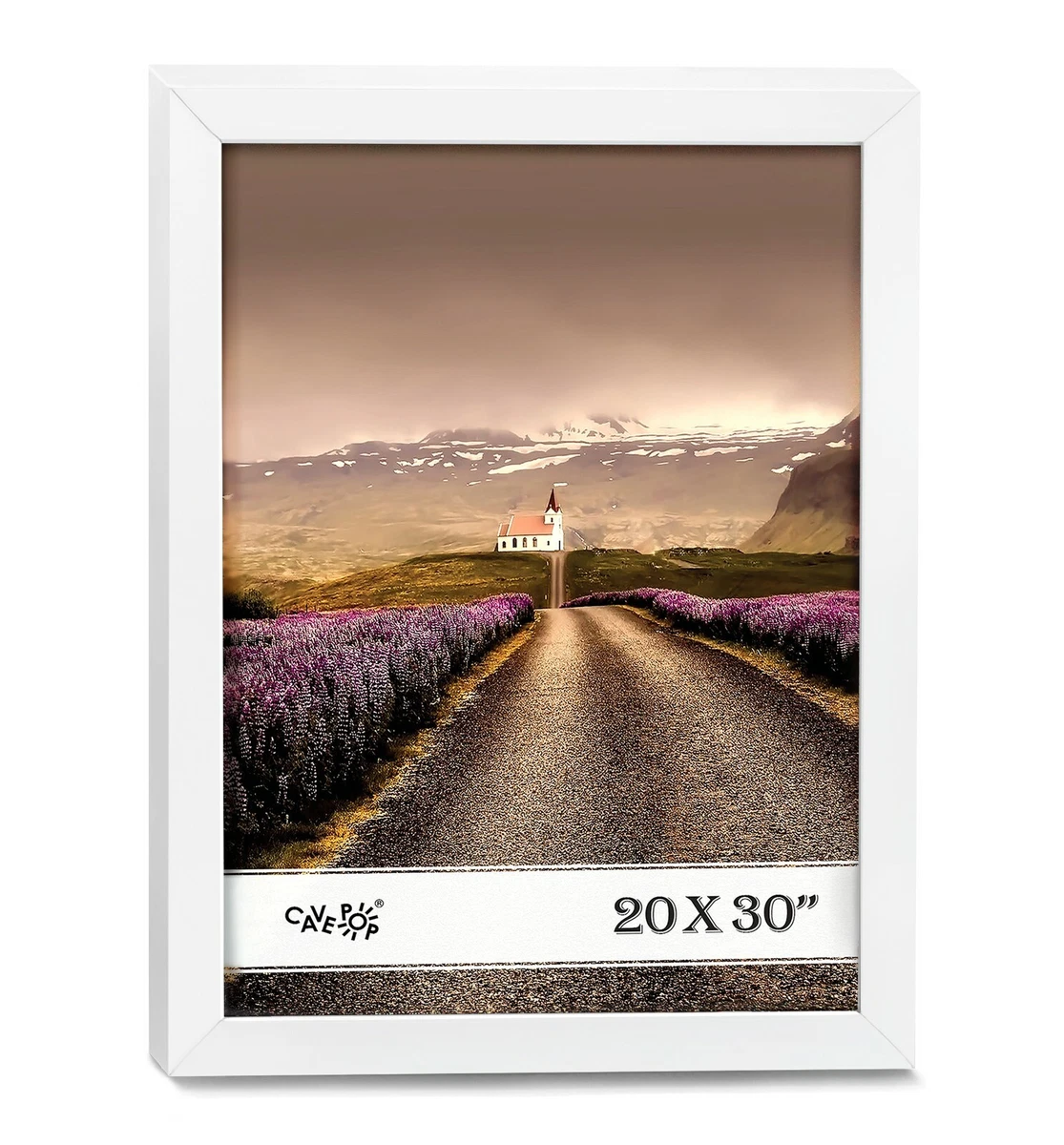 20 X 30 Poster Frames