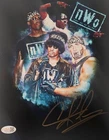 Dennis Rodman Signed METALLIC Photo 8x10  NWO Bulls Worm Autograph HOF JSA HOGAN