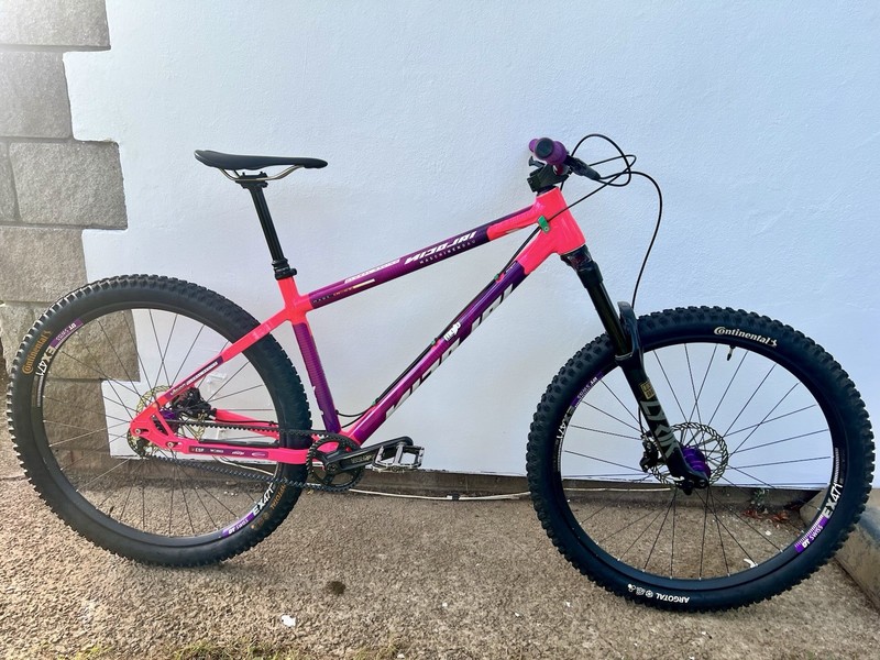 Nicolai Argon GLF Medium Single speed Enduro Mountain Bike Gates Belt drive  