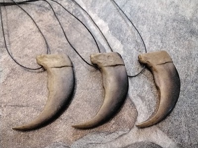 Grizzly Bear Claw Necklace For 1 Bone Resin  Grizzly Claw Necklace