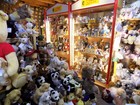 Bild 8 von 12