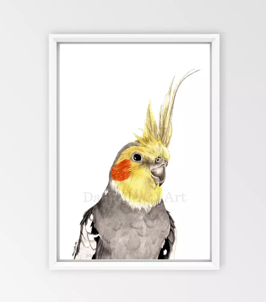 Watercolour Cockatiel Print - cockatiel profile Australian bird prints  cockatoo | eBay