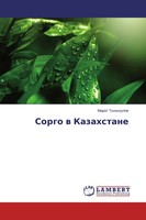 Marat Tynykulow | Sorgo W Kazahstane | Taschenbuch | Russisch (2015)