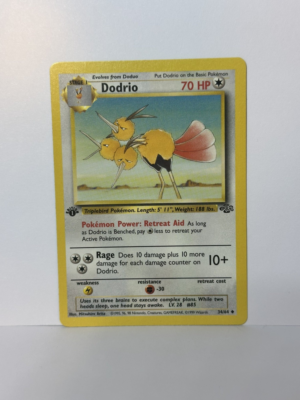 1st Edition Dodrio 34/64 - Jungle  - Pokemon - NM