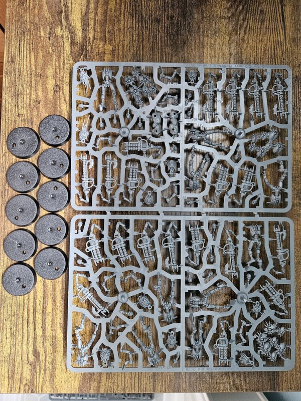 Necron Warriors x10 - Warhammer 40k Necrons New on Sprue - Indomitus