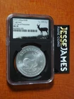 2025 Silver Krugerrand 1 oz — photo from another recent sale