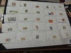 Finland 1875-2006 Large Mint+Used Lot on Dealer Cards CV$420+ — photo 5
