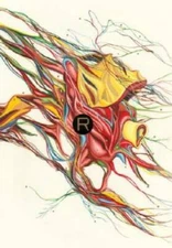 Rant: An Oral Biography of Buster Casey - Hardcover By Palahniuk, Chuck - GOOD