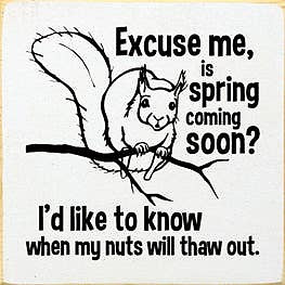 Excuse Me Is Spring Here Squirrel Wood Sign Old Red