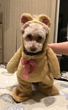 Charming Teddy Bear Dog Costume   Medium Size, Perfect for Parades  Parties