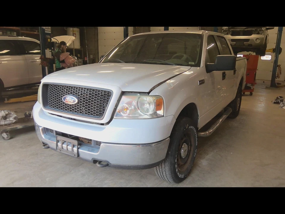 Used Tailgate fits: 2005 Ford F150 PICKUP New Style Styleside box Grade C - Изображение 4 из 4