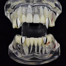 Vampire Fang Set Silver Tone 2 Canine K9 Dracula Fangs And Two Bottom Teeth Caps
